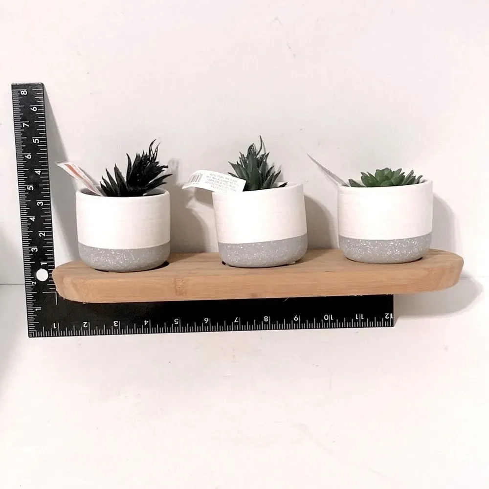 CENTERPIECE Decor Mini Faux Succulents in Ceramic Pots ASHLAND Wooden Tray